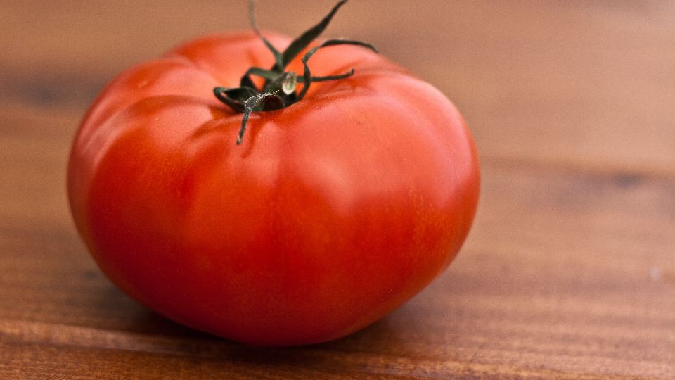A tomato, or "pomodoro".